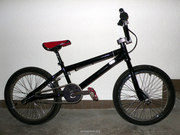 BMX eastern bikes